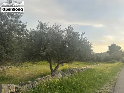 undefined 2