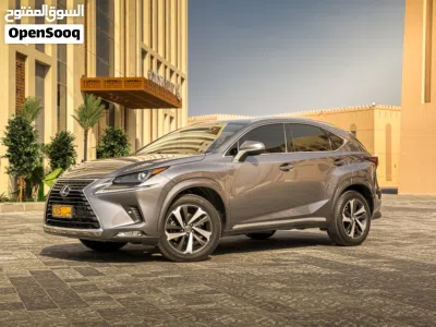 Lexus NX NX 300 3