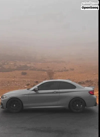 BMW 2 Series 220i 2