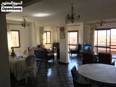 شقه 200 متر بالإسكندرية 2