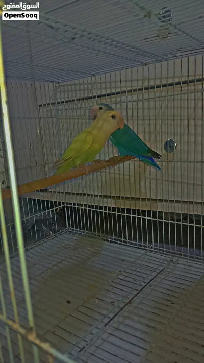 undefined 2