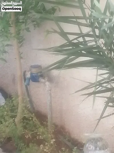 منزل للبيع شقتين مفصولات كل وحده لحالها 2