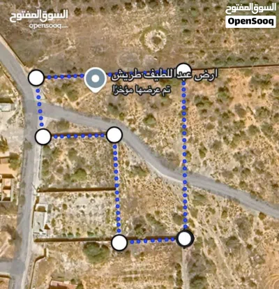 عرض ارض موسي كوسه كزيوني 2