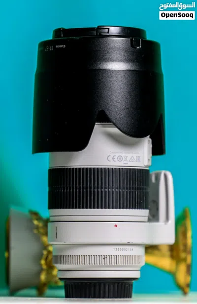 70_200 mark III 3