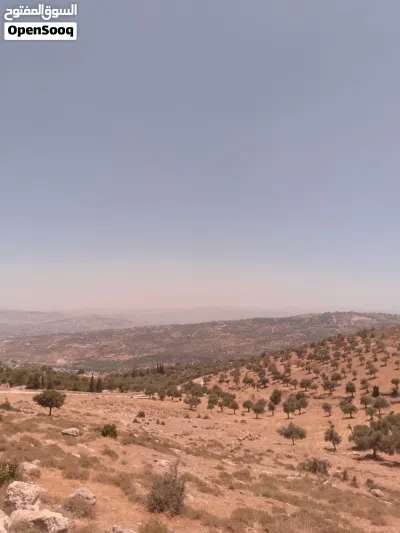 ارض زراعية 2