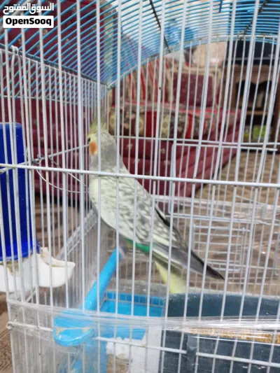 undefined 2