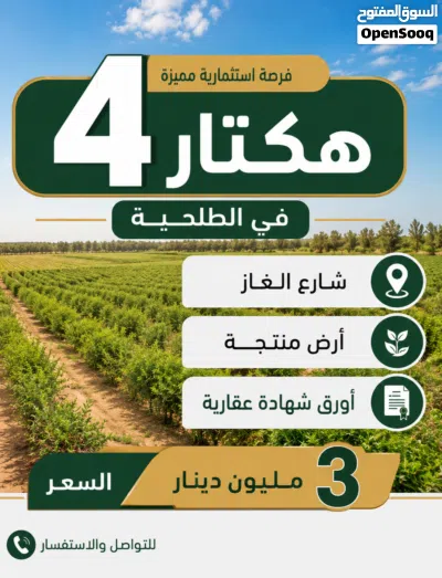 اراضي للبيع الهواري-بوصنيب-سي فرج-الطلحية 3