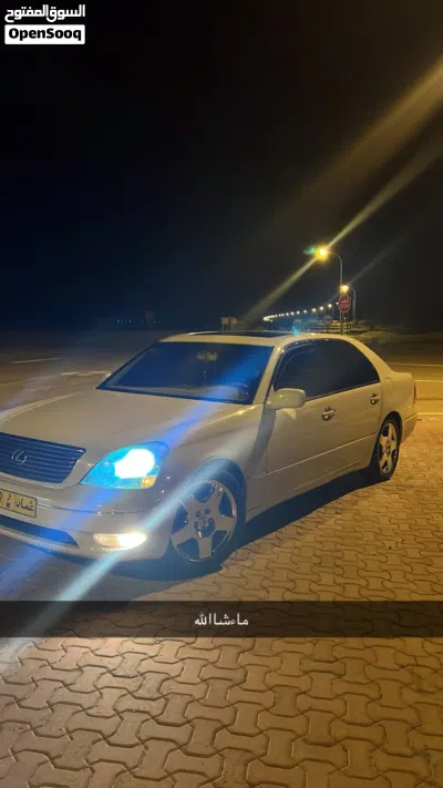 undefined 3