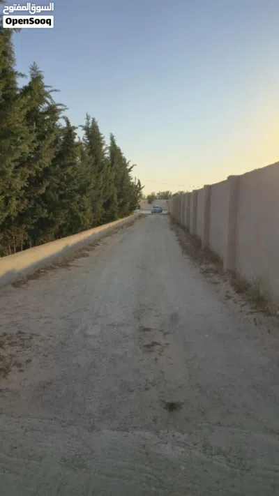 ارض مع زوز استراحات وبير وفسكيه وسور 2