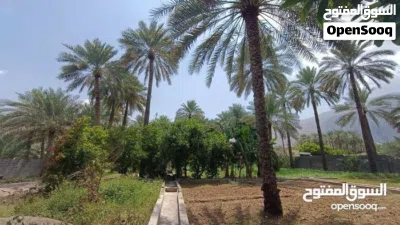 مزرعة للبيع في ولاية العوابي 4