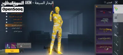 حساب ببجي للبيع بي 450كاش الموقع مصرته 3