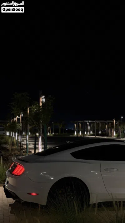 Ford Mustang GT 3