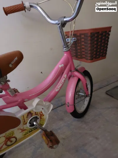 pink cycle for girl .cycle size 18 inch 3