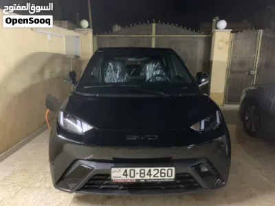 BYD Seagull 2