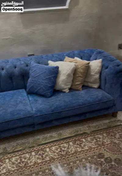 تخم مستعمل للبيع 3