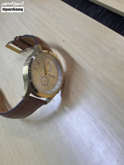 Citizen Watch Chronograph Leather Belt 2