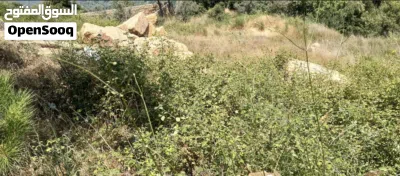 Land for Sale in Aabey – 730 m2 Scenic Mountain Views Road Access 2