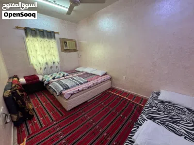 شقة صغيرة للايجار اليومي ف الخضراء الجديدة 3