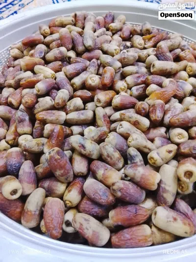 تمر نغال للبيع 3