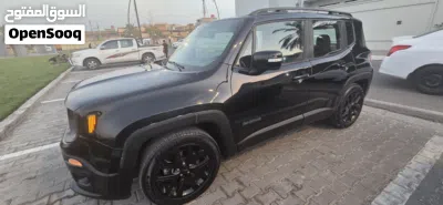 Jeep Renegade Standard 3