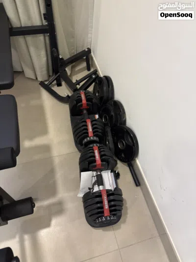 Dumbbells, bench and bar with weights 2