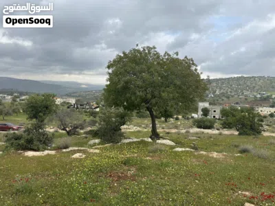 undefined 2