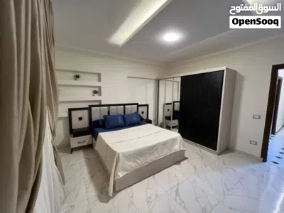 شقة مفروشة للايجار شارع شهاب المهندسين عباره عن ثلاث غرف ريسبشن مطبخ اثنين حمام 2