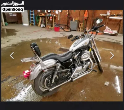 Harley Davidson 1200 Custom 4
