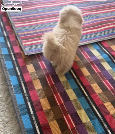 undefined 2