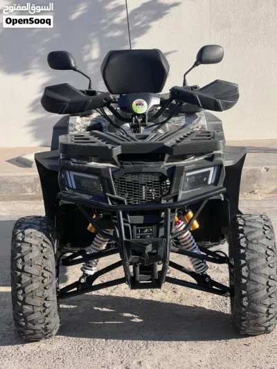 Buggy All Models 2