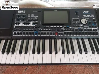 KORG Pa1000 MG Edition. 3