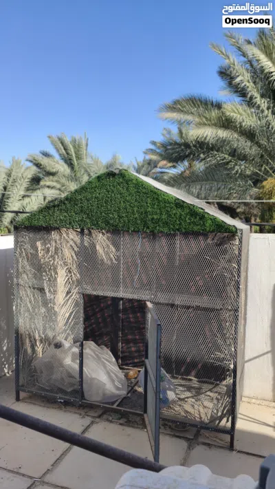 قفص مال محميه مال بلابل القفص حديد متعوب عليه واتساب السعر 200 وبي مجال 4