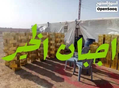 اجبان الخير جبنه بيضاء بلديه حليب غنم صافي 100% مكفوله لسنا الوحيدون ولكننا المميزون اجبان الخير 2