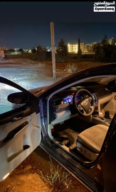 Toyota Camry XLE 2