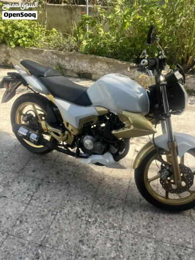 QJmotor Commute 3