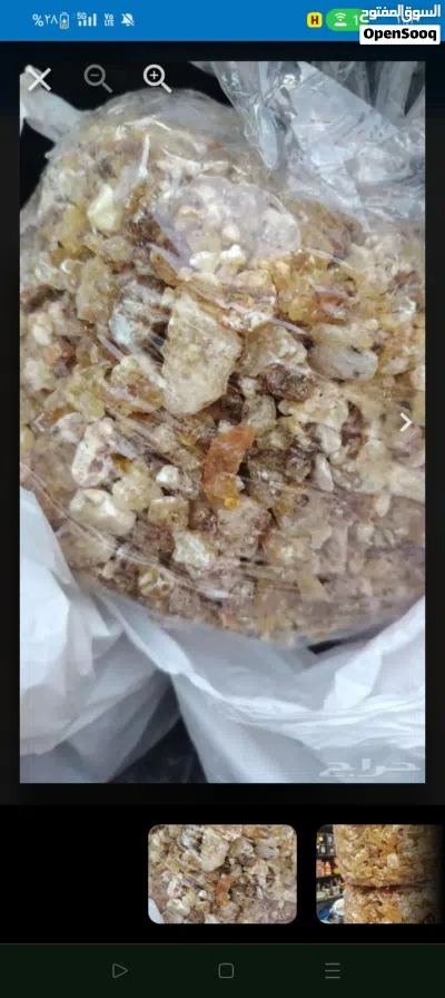 لبان ذكر ولبان حلو 4