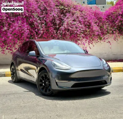 Tesla Model Y Performance 3