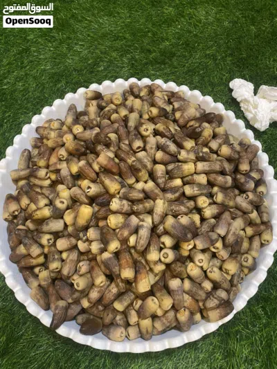 تمر نغال جريجرو 2