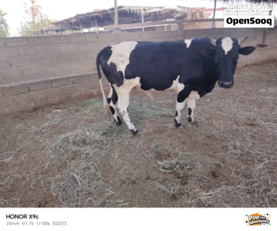 undefined 3