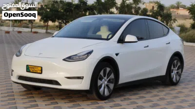 Tesla Model Y Long Range 2