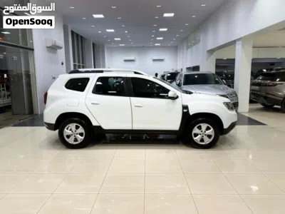 Renault Duster Standard 3