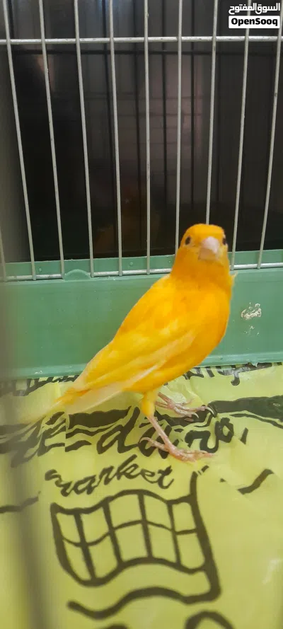 undefined 2