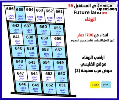 لأول مرة في الزرقاء احجز ارضك الان 3400 متر مربع 3
