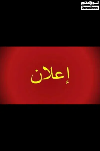 شقه للايجار 2