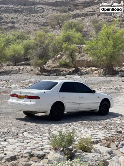 Toyota Camry XLE 2