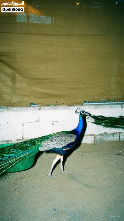 undefined 2