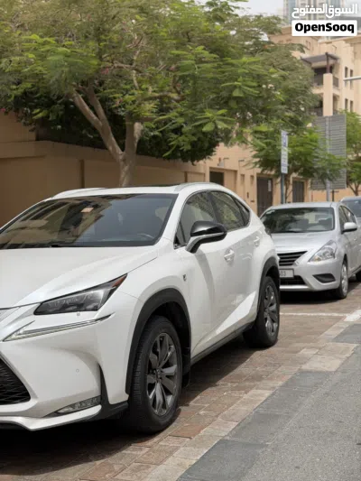 Lexus NX NX 350 F Sport Handling 4