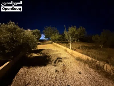 مزرعة بسعر فرصه شارع طرخان 2
