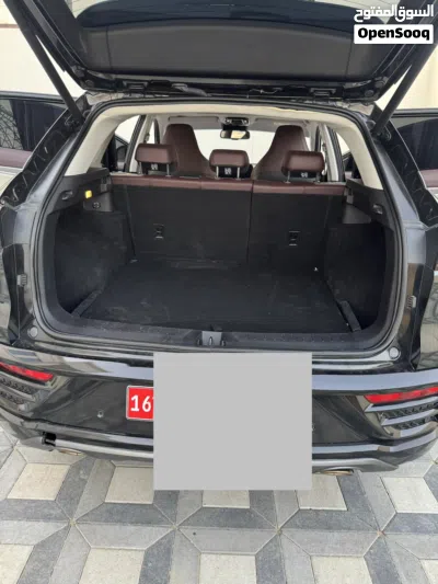 JAC JS6 Advanced 2