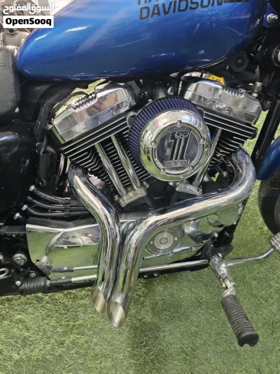 Harley Davidson 1200 Custom 4